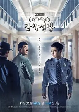 雾港迷踪 热播电视剧全集在线观看